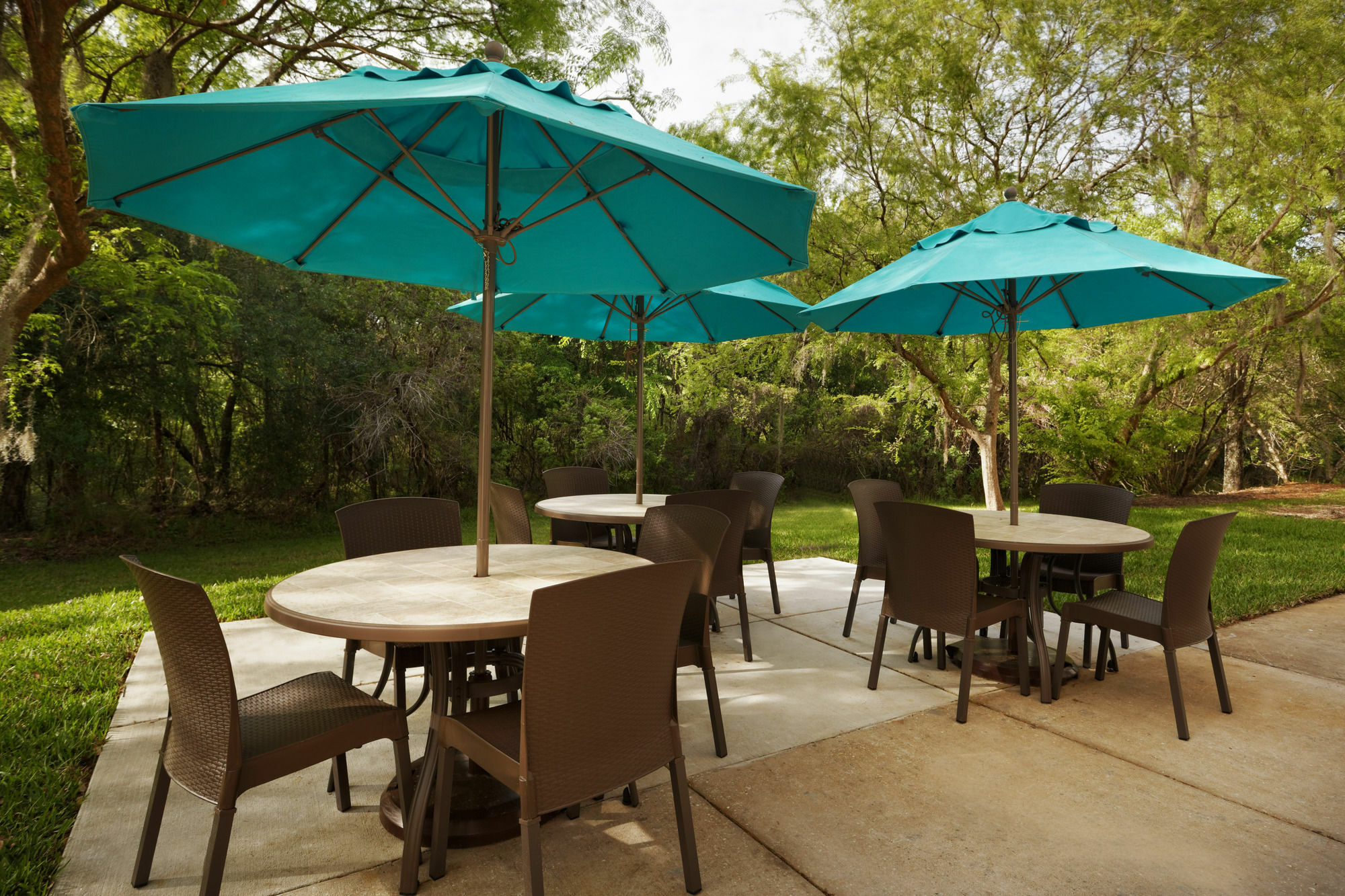 Mainstay Suites Tampa Moffitt-Usf Temple Terrace Exterior foto